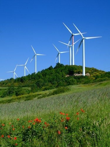 Community solar garden