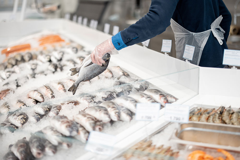 Symbio-Fish-Shop-Refridgeratiion